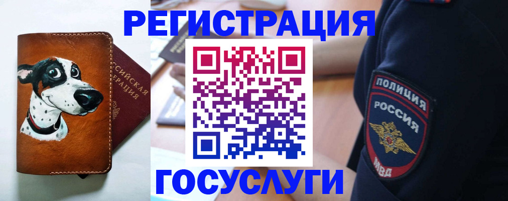 временная регистрация в квартире в Россоши